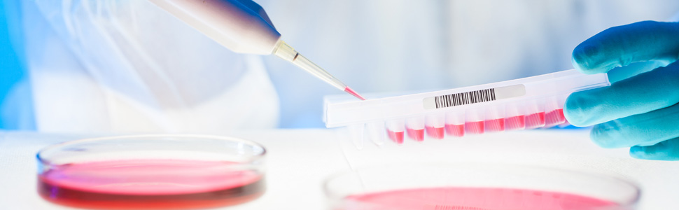MARL using the Individualised Biochemistry Profile (IBP) technology