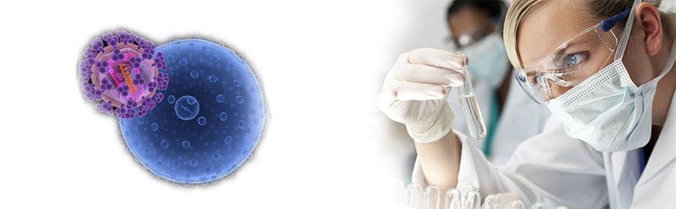 Molecular Aging Reversal Laboratory (MARL) using the Individualised Biochemistry Profile (IBP) technology