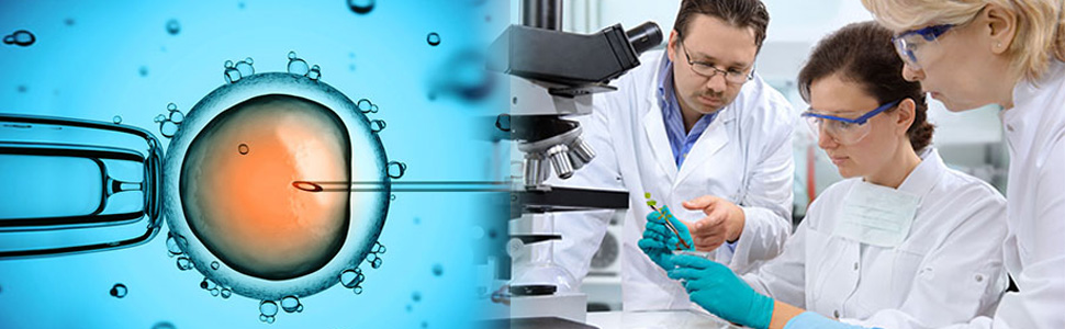 Molecular Aging Reversal Laboratory (MARL) using the Individualised Biochemistry Profile (IBP) technology